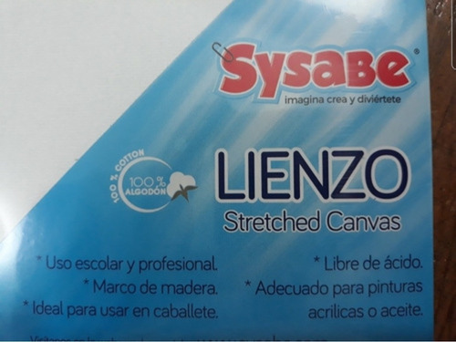 Imagen 8 de 10 de Kit Artistico Escolar Lienzo 25x25cm+6pinturas+pincel+godete