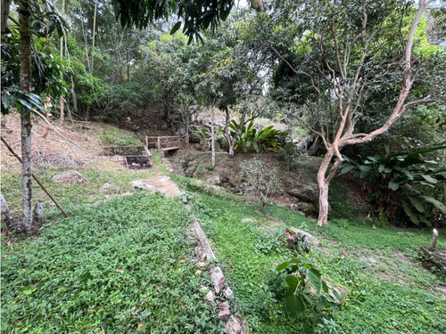 Venta Finca Mesitas Del Colegio