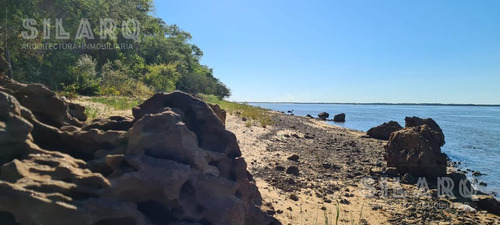 Imagen 7 de 30 de Terreno - Ita Ibate Corrientes Punta Gallino