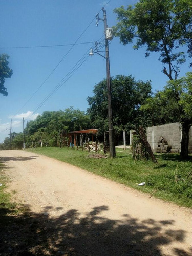 Imagen 3 de 7 de Terreno - San José Chiltepec