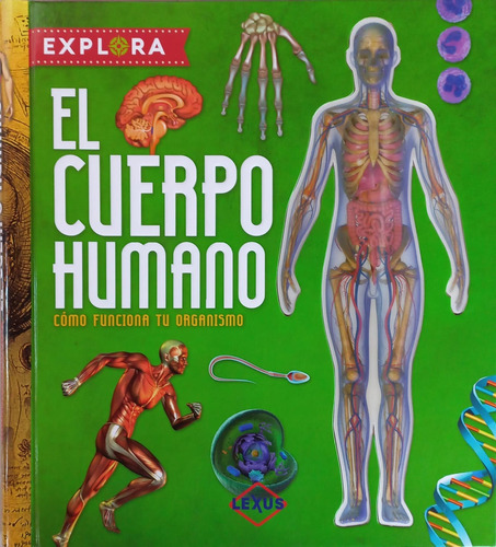  Explora El Cuerpo Humano, Como Funciona Tu Organismo