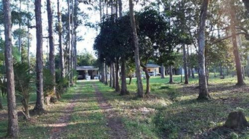 Imagem 5 de 14 de Chácara No São Fernando Com 4 Quartos E Lago Para Peixes.
