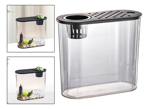 Aquário De Mesa Resistente Com Tampa Mini Tampa Preta