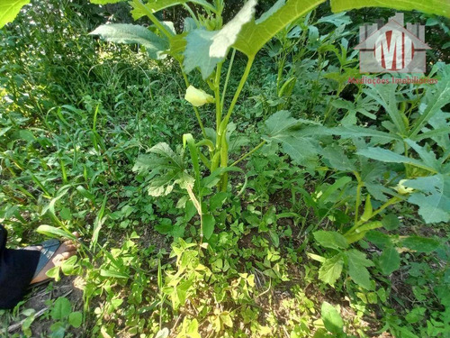 Imagem 29 de 30 de Chácara Com 3 Dormitórios, Arborizada, Churrasqueira, Jardim, Pomar, À Venda, 1452 M² Por R$ 390.000 - Pedra Bela - Pedra Bela/sp - Ch1193