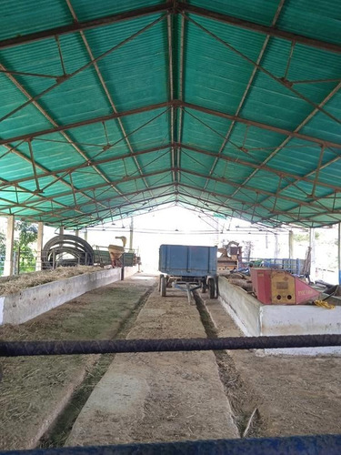 Imagen 3 de 14 de Venta Finca Estado Lara, Municipio Crespo