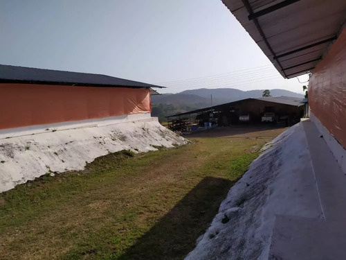 Venta Granja Integral Productiva Avicola Ganadera Y Minera Tinaquillo Edo. Cojedes Negociable Con Financiamiento Jm