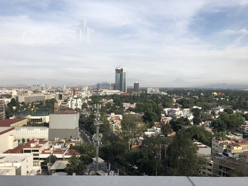 Imagen 12 de 19 de Renta - Oficina - Insurgentes Sur - 720 M2 - Piso 1
