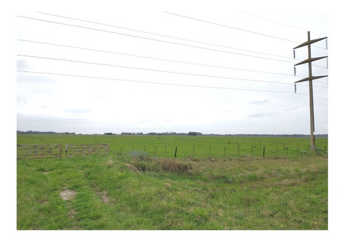 Imagen 3 de 6 de Campo En Venta En Punta Indio 93 Hectáreas Sobre Ruta