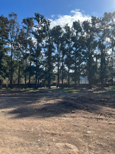 Terreno En Venta: ¡financiación Disponible! #