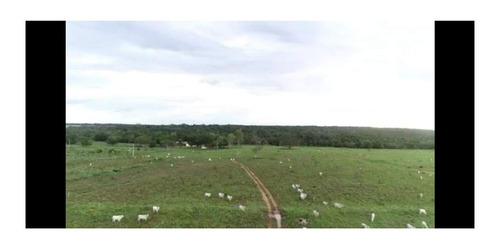 Imagem 10 de 22 de Fazenda 1958 Hectares, Planta 1500 Hectares, Rica Em Água Com Rios, Açudes, Casas, Curral, Galpões, Poços Artesianos, Terra Fértil - Fa00237 - 70701334