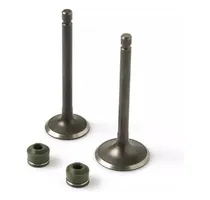 Comprar Kit Valvulas Yamaha Ybr Xtz Ybr C Express 125 Alta Calidad