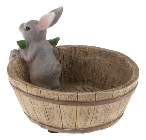 De Macetas Suculentas Sedum De Flor Gris Caja De Bonsai