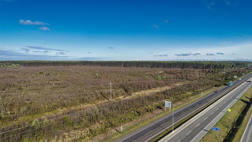 Agrícola En Venta En Calbuco