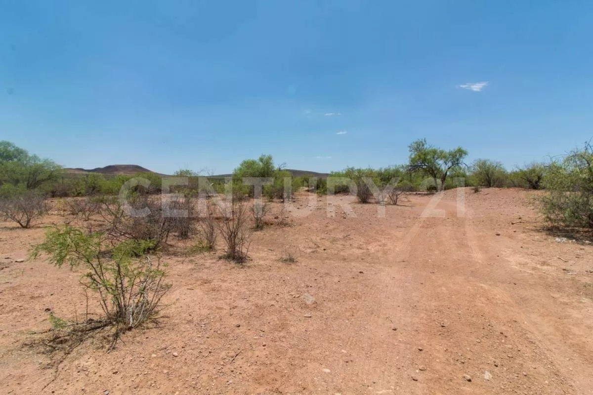 Terrenos En Venta Carretera A Delicias Chihuahua