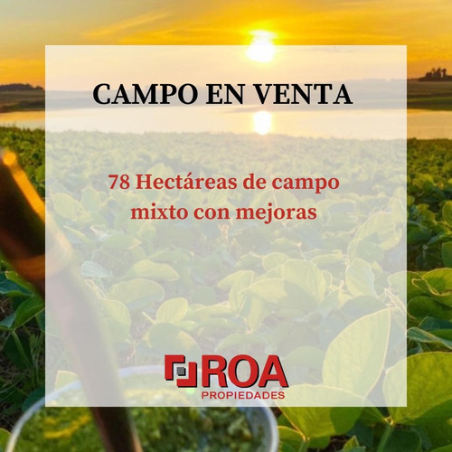 Campo Mixto De 78 Hectareas - Entre Rios 