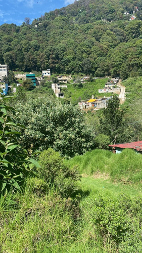 Terreno 100m2 San Francisco Chimalpa