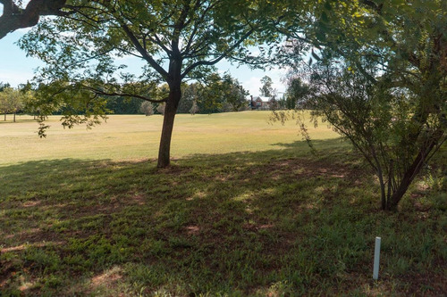 Imagen 9 de 14 de Terreno - Funes