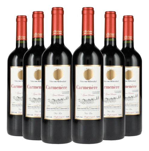 6 Vinos Von Siebenthal Gran Reserva Carmenere