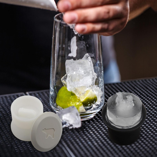 Moldes Para Cubitos De Hielo De Pingüino Bandeja De Molde De