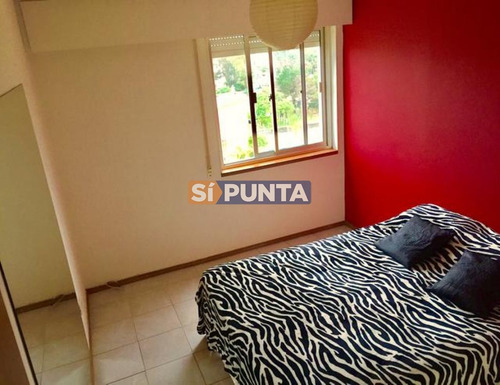 Imagen 6 de 8 de Apartamento En Alquiler Anual Y Venta