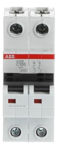2cds252001r0824 Itm Abb S202 C100 2 P 100a