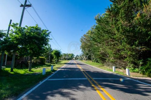 A 150 Metros Del Mar