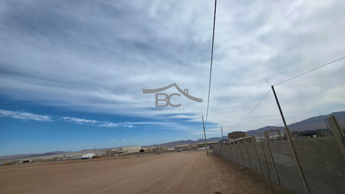 Se Arrienda Terreno En La Negra, 7.500 M². (175240)