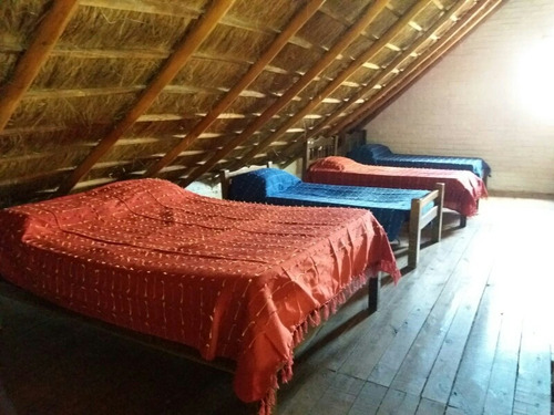 Imagen 10 de 13 de Casa En Alquiler Temporada En San Gregorio De Polanco
