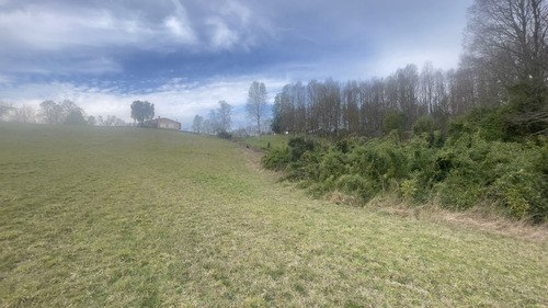 Vendo Campo 6 Ha Con Casa Camino Huichahue (66896)