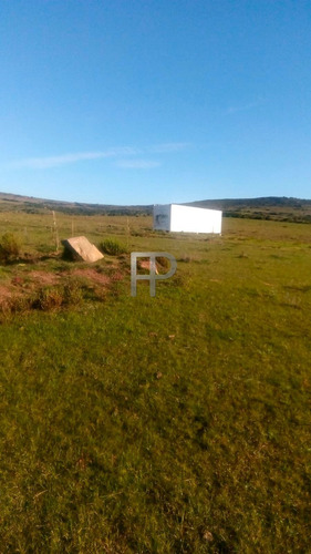 Imagen 6 de 6 de Campo En Venta Pueblo Edén 5 Hectáreas