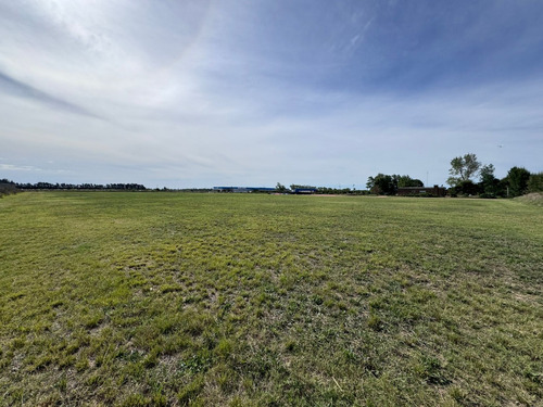 Terreno Logístico Industrial De 44.000 M2 Próx A Ruta 102 Y Ruta 5