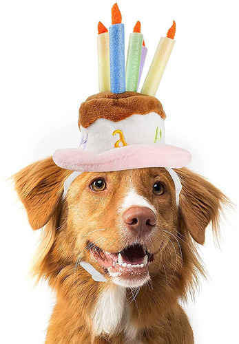 Sombrero De Pastel De Cumpleaños Para Perro, Gato