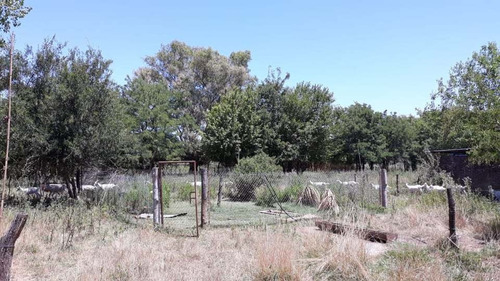 Imagen 4 de 5 de Lote De 2 Hectareas