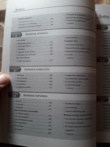 Imagen 5 de 10 de Libro De Anatomia Lumbreras