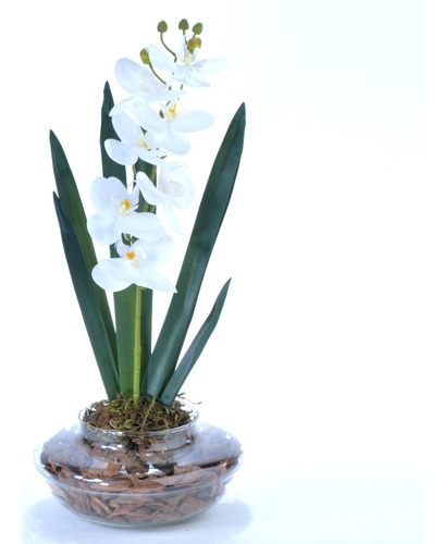 Arranjo De Orquídea Artificial Branca Em Terrário Pequeno An