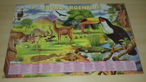 Lamina 83x54cm Revista Billiken Fauna Argentina