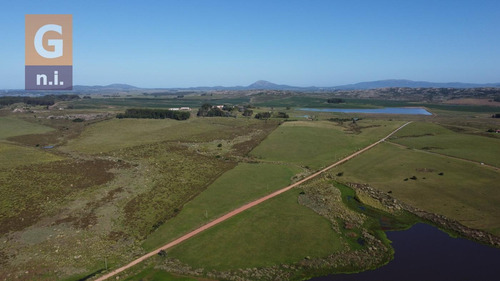 Campos Y Fracciones En Punta Del Este (laguna Del Sauce) - Ref. 4618