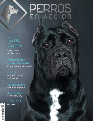 Revista Perros En Acción