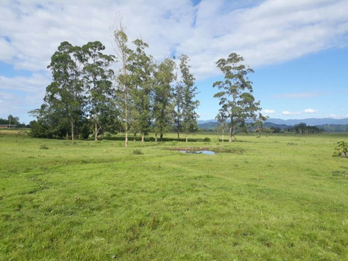 Imagem 1 de 18 de Fazenda À Venda, 63000 M² Por R$ 2.500.000,00 - Campo Bonito - Torres/rs - Fa0002