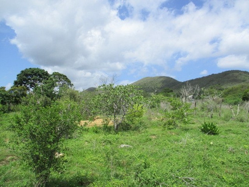 Terreno En Municipio Gómez Caserío Arismendi
