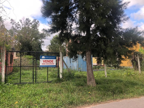 Imagen 1 de 3 de Terreno En Venta