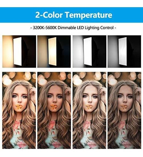 Kit De Iluminacion De Softbox De Fotografia Wisamic: Cabez