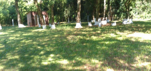Imagem 23 de 26 de Chácara Com 4 Dormitórios À Venda, 10000 M² Por R$ 1.500.000,00 - Imóvel Cataratas - Gleba Ii - Foz Do Iguaçu/pr - Ch0028
