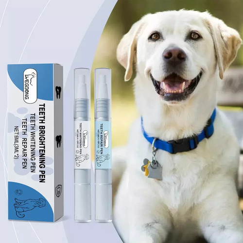 Juego De Bolígrafos Iluminadores De Dientes E Pet