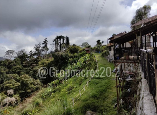 En Venta Lote De Terreno Ubicado En Hoyo De La Puerta Miranda A Solo 20 Minutos De Caracas. Cf