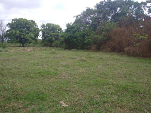 Imagen 1 de 30 de Terrenos En Venta El Placer Cabudare 21-17389 @m