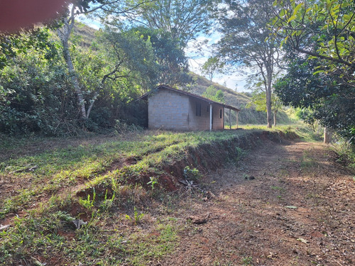 Sitio A Venda; 3.5 Alqueires De Terra No Sítio Tem Mina De Á