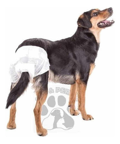 Pañales Desechable Para Perro 12 Unidades Talla M