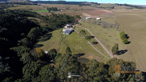Imagem 1 de 22 de Chácara À Venda, 45000 M² Por R$ 529.900,00 - Zona Rural - Caxias Do Sul/rs - Ch0003