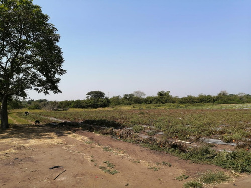 Hectáreas En Venta Veracruz Localidad El Pando, Veracruz.